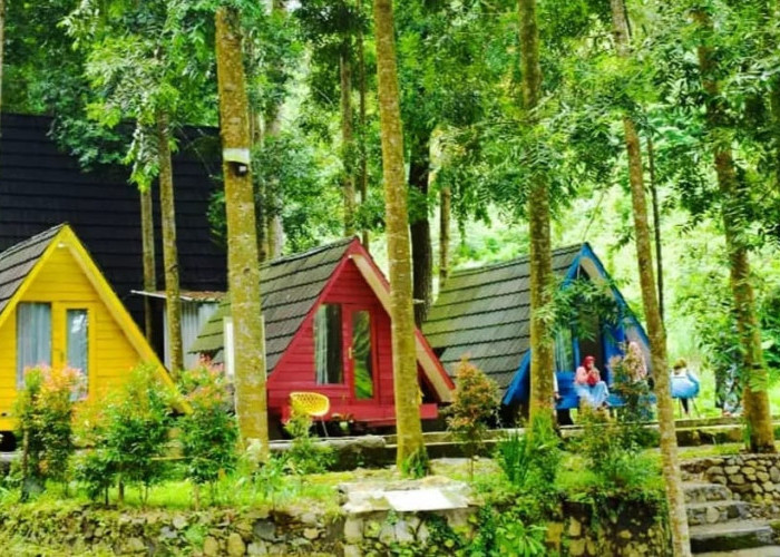 Wisata Alam Seru di Citamiang, Destinasi Camping Terbaik di Puncak Bogor