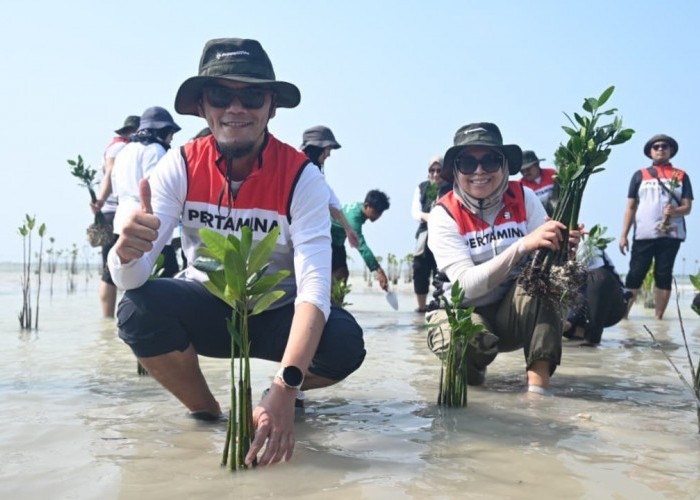 Dukung Energi Berkelanjutan, Pertamina Drilling Tanam 800 Mangrove di Hari Lingkungan Hidup 2026