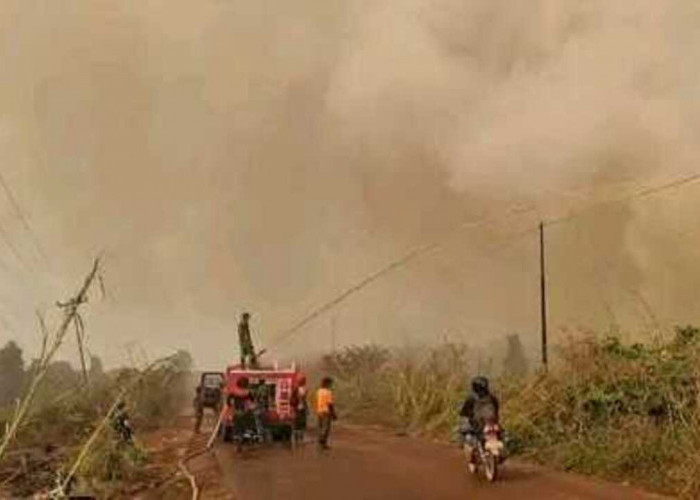 444 Hektare Lahan Terbakar di Ogan Ilir, 131 Titik Karhutla Terjadi Sejak Maret 2026