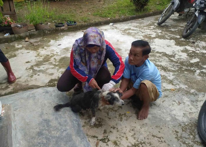 Diskannak OKU Targetkan 1.000 Hewan Divaksin Rabies