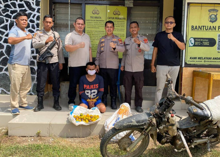 Curi 700 Kilogram Jeruk, Petani di Muara Kuang Ditangkap Polisi, Uangnya Dipakai Judi Online