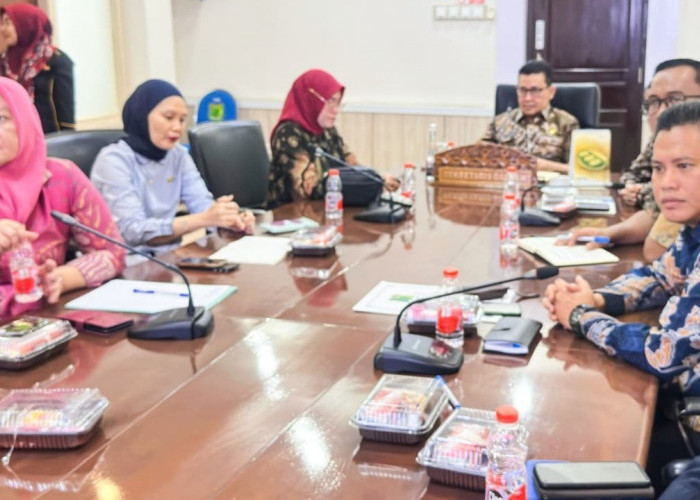 Perkuat Strategi Pendanaan Pembangunan Daerah