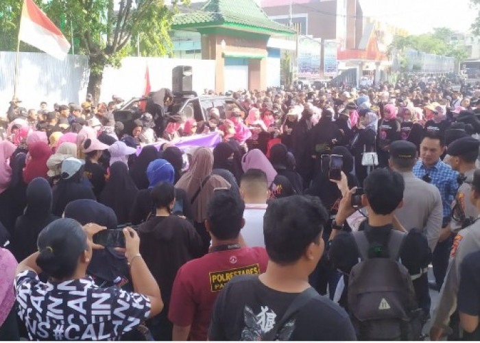 Pemkot Usulkan Perluasan Wilayah Kota Palembang, Jika Disetujui Tegal Binangun Masuk Palembang..
