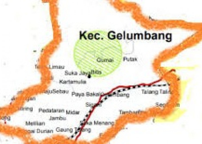 Usulan Daerah Otonomi Baru Kabupaten Gelumbang Pemekaran Kabupaten Muara Enim Provinsi Sumatera Selatan