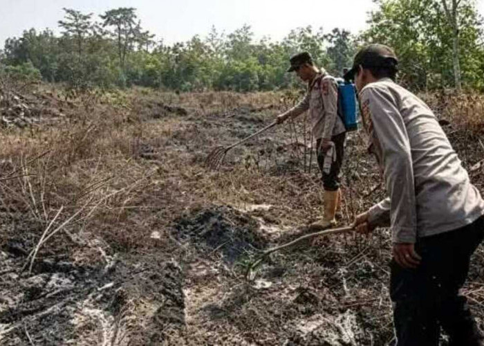 Kebakaran di Jalinteng Baturaja, PLN Bergerak Cepat Amankan Jaringan Listrik