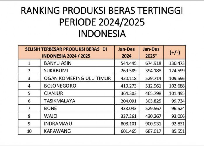 DATA TERBARU 2026 : Ini 10 Kabupaten Penghasil Beras Terbanyak di Indonesia, Banyuasin Nomor Berapa ?