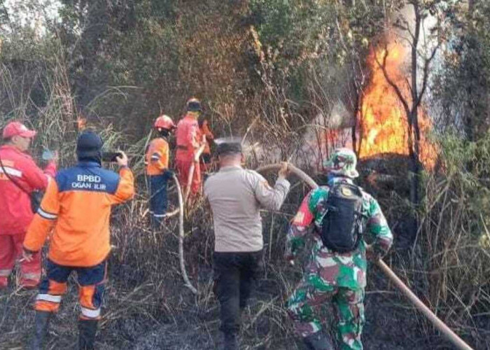 Dua Hektar Lahan di Ogan Ilir Kembali Terbakar, Polisi Masih Selidiki Sumber Api