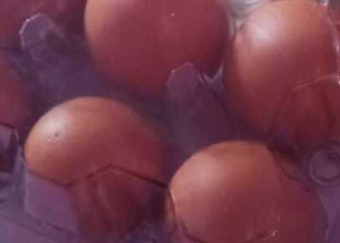 Benarkah Telur Menyebabkan Bisulan? Ini Penjelasan Medisnya