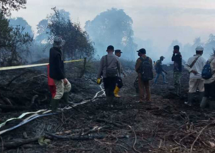 Lahan Gambut Kosong di Desa Pulai Gading Bayung Lencir Terbakar