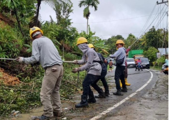 Gubernur Sumbar Apresiasi Kerja PLN Pulihkan Listrik Pascabencana