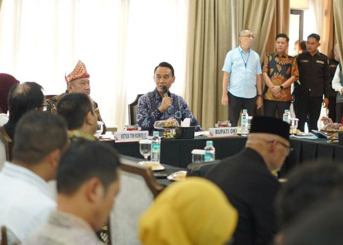 Bupati OKI Suarakan Kesejahteraan Guru PPPK Paruh Waktu ke Komisi X DPR RI
