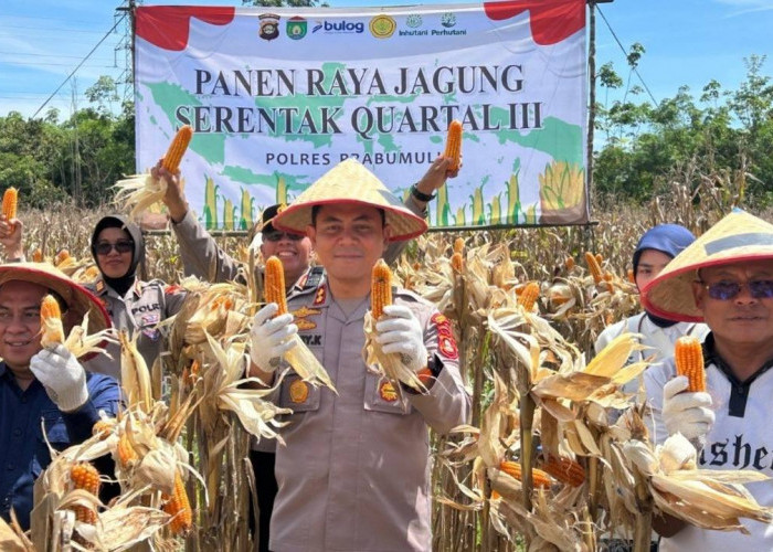 Polres Prabumulih dan Pemkot Gelar Panen Raya Jagung Quartal III, Wujudkan Komitmen Ketahanan Pangan Nasional