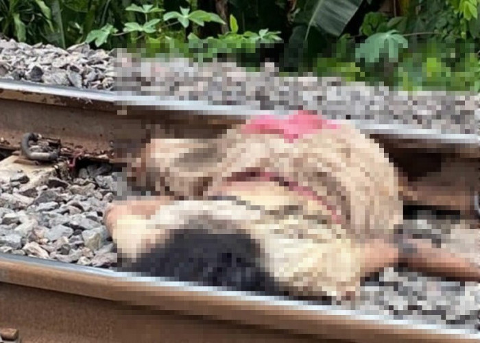 Seorang Warga Prabumulih Tewas Mengenaskan di Prabujaya, Diduga Disambar Kereta Api Babaranjang