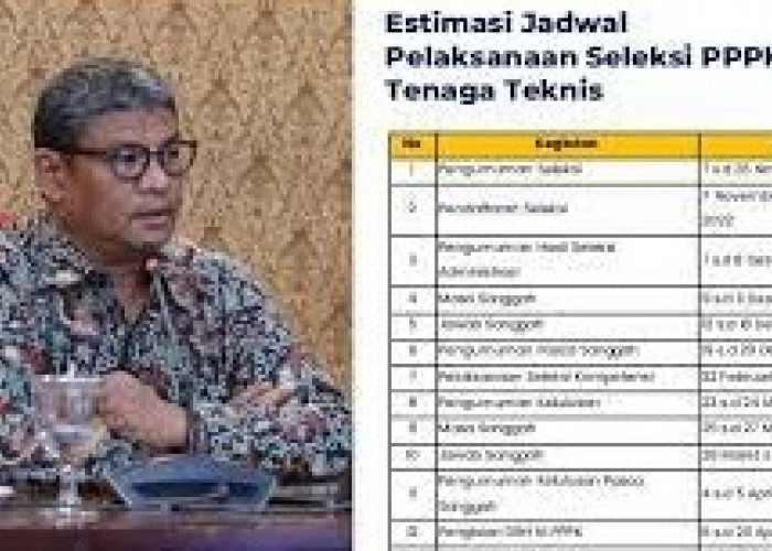 BKN Resmi Buka Pendaftaran PPPK Teknis 2022 untuk Umum, Berikut Syarat dan Cara Daftarnya...