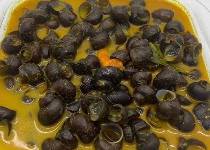 Sensasi Pedas yang Menggoda, Tutut Kuah Pedas Jadi Primadona Kuliner Nusantara