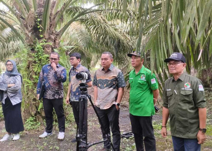 KUD Sejahtera Jadi Role Model Nasional Hilirisasi Sawit