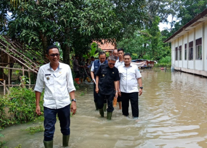 Wabub Ardani Tinjau Langsung Korban Terdampak Banjir, Ini Yang Diasampaikanya..