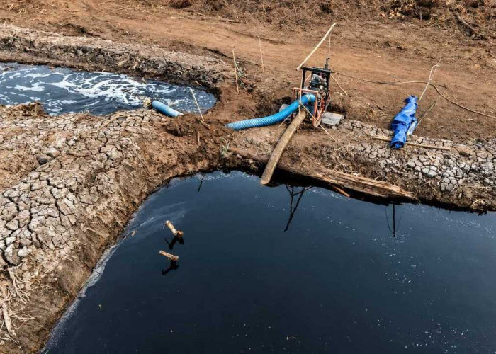 Dukung Pencegahan Karhutla, PT.RHM Lakukan Pembasahan Lahan Gambut dimusim Kering