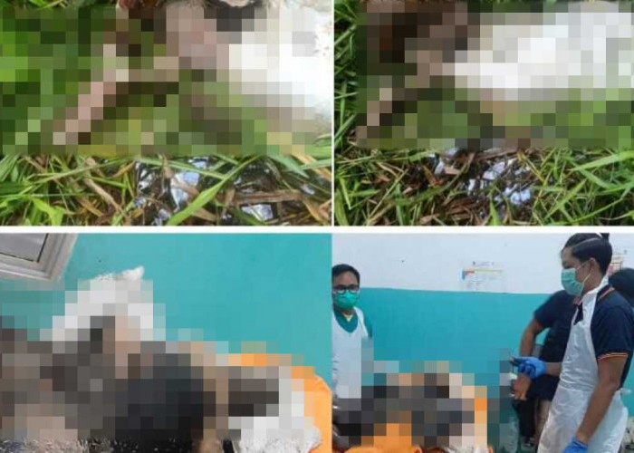 Identitas Mr X ditemukan Tewas Dalam Karung di Sanga Desa Bernama Rocki