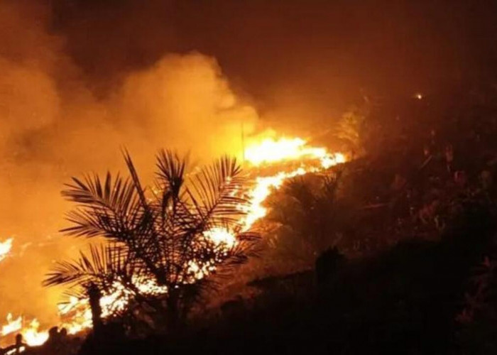 Akses Sulit dan Minim Air, 3 Hektare Lahan Terbakar 