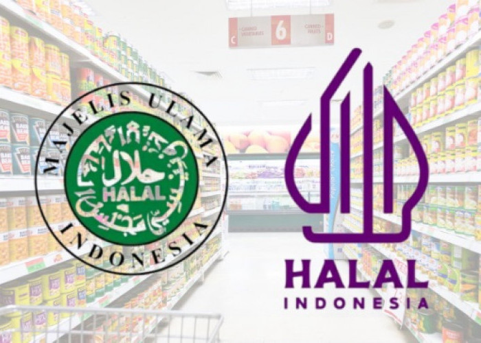 Baru 1,2 % Hotel di Indonesia Punya Sertifikasi Halal, LPPOM MUI Ingatkan Wajib Halal Oktober 2024