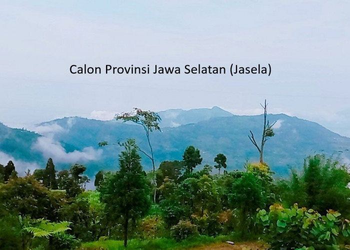 Jasela, Potensi Gemilang di Pusaran Perekonomian Maritim Jawa Selatan di Jawa Tengah