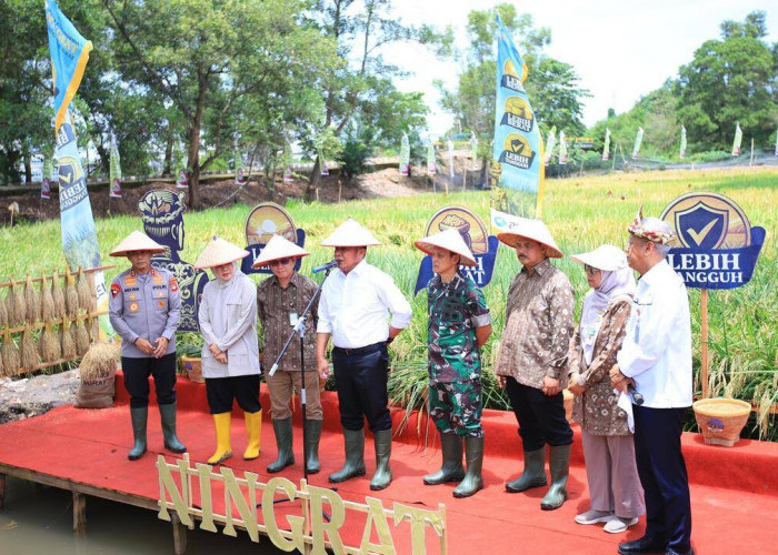 Sumsel Raih Apresiasi Kementan atas Inovasi Padi Apung dan Gerakan Mandiri Benih