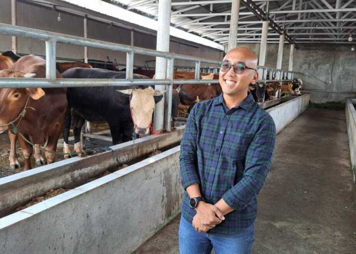 Idul Adha 1446 H, BRI Prabumulih Serahkan Sapi Kurban ke Pemkot dan Rutan