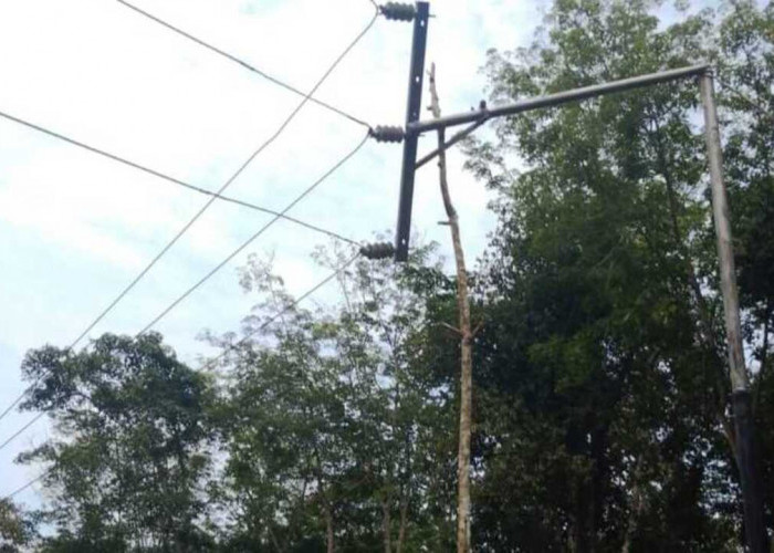 Listrik Sering Padam Warga Kecamatan Plakat Tinggi Mengeluh, Ini Kata PT MEP