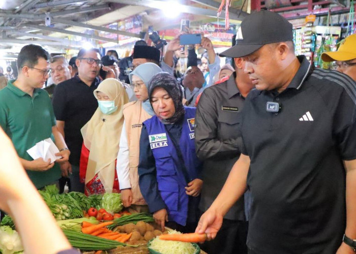 Pemkot Palembang Tes Pestisida dan Pengawet Makanan