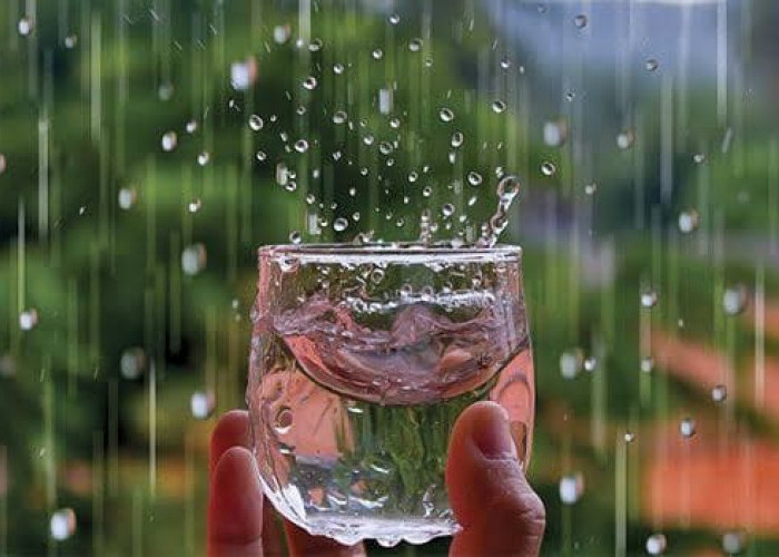 Apakah Air Hujan Aman Dikonsumsi Ini Pendapat Ahli?