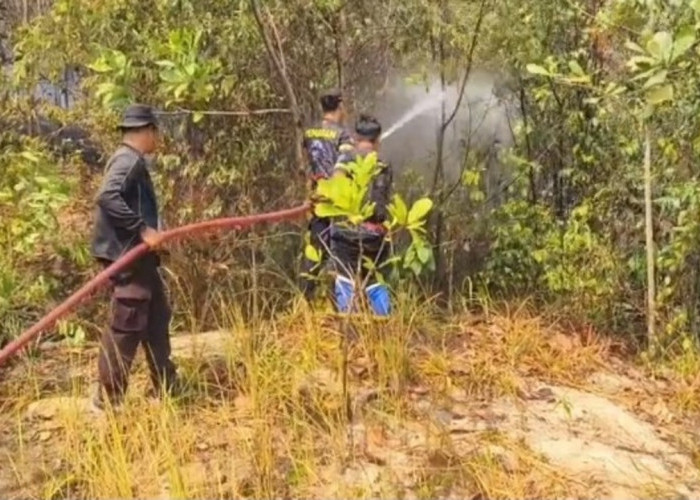 Api Lahap 1 Hektare Lahan Berhasil Dijinakkan