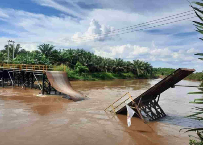Mobil Pikap Sawit Melintas Jembatan Penghubung Kecamatan Kandis Ambruk, Ini Penyebabnya...
