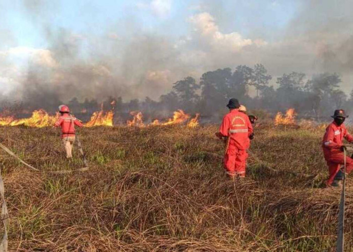 Kebakaran Kembali Terjadi di Ogan Ilir, Petugas Berjibaku Padamkan Api