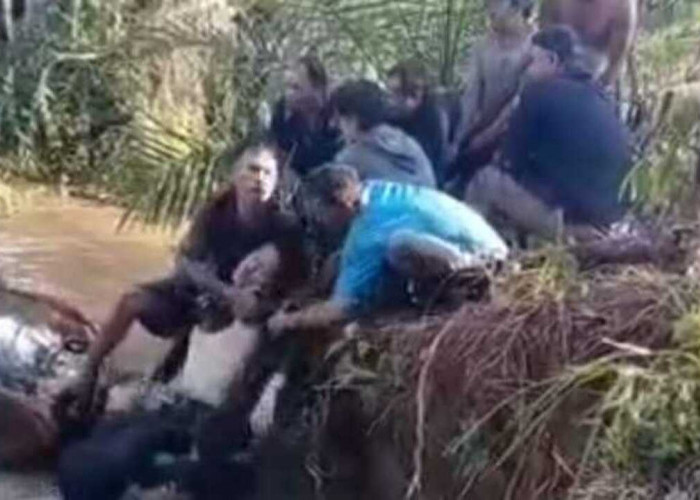 Mobil Travel Terjun Bebas ke Sungai Jernih di Jalan Lintas PALI–Mura, Dua Orang Tewas