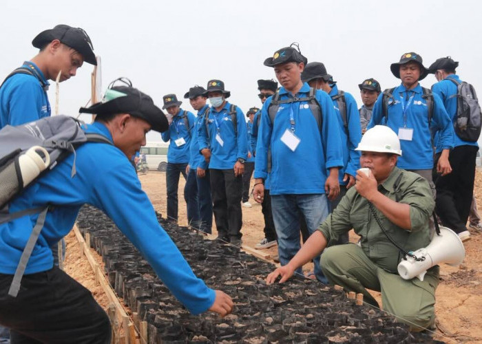Produktivitas Sawit Rakyat OKU Tak Cukup Andalkan Luas Lahan, Kompetensi Pekebun Jadi Kunci