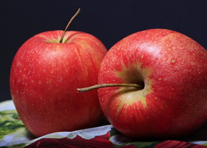 10 Manfaat Buah Apel, Ternyata Bisa Turunkan Diabetes dan Cegah Kanker, Begini Cara Makan Apel yang Sehat..