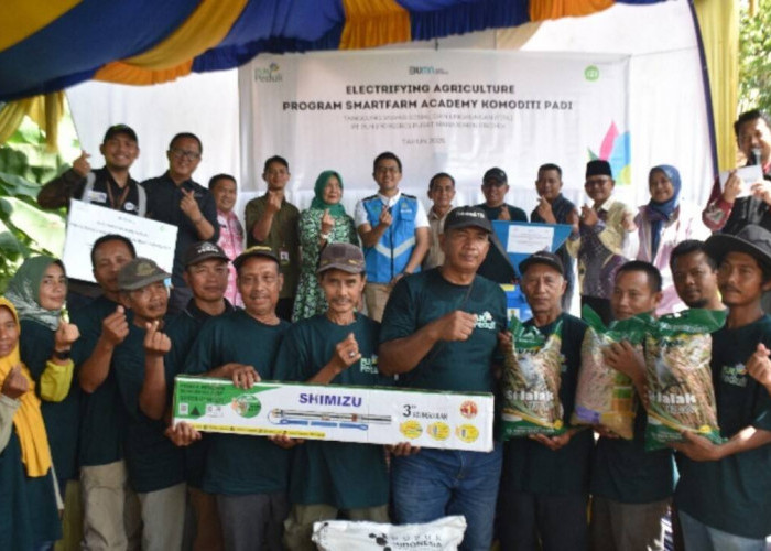 PLN PUSMANPRO Gandeng IZI Luncurkan Smartfarm Academy, Dorong Pertanian Modern Berbasis Listrik di PALI