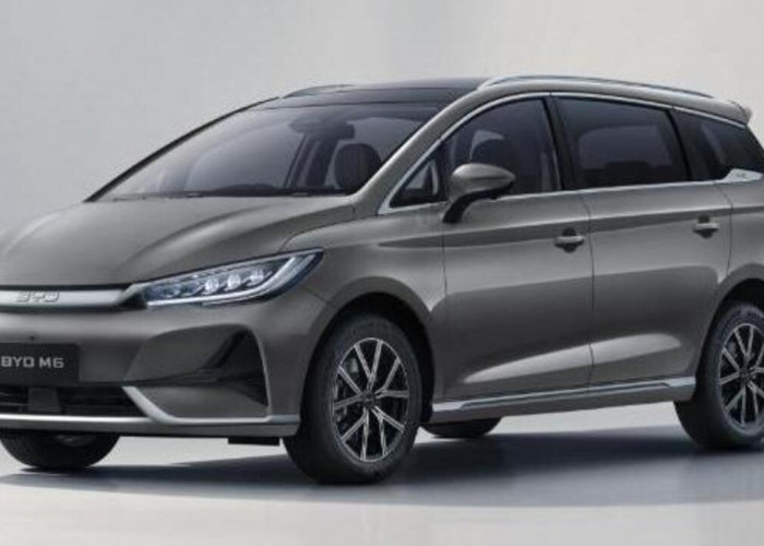 BYD M6 DM Resmi Meluncur di Indonesia, Tawarkan Teknologi Plug-in Hybrid dengan Jarak Tempuh 1.800 Km