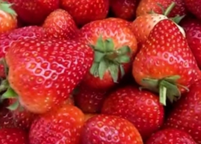 Selain Memiliki Rasa Asam dan Manis, Strawberry Mampu Menjaga Tekanan Darah Menjadi Stabil