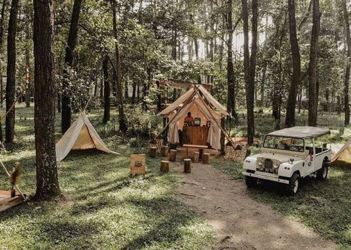 Menemukan Keindahan Alam Palembang Melalui Camping, Ini Dia 5 Destinasi Seru yang Wajib Dicoba