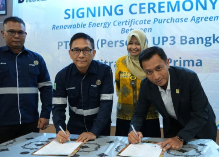 Gunakan Listrik PLN, Industri Timah di Bangka Belitung Lebih Efisien & Siap Raih PROPER Emas