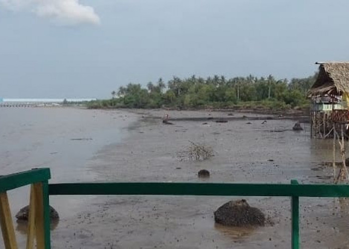 5 Wisata Pantai Eksotis di Kota Dumai Calon Ibukota Provinsi Riau Pesisir Pemekaran Provinsi Riau