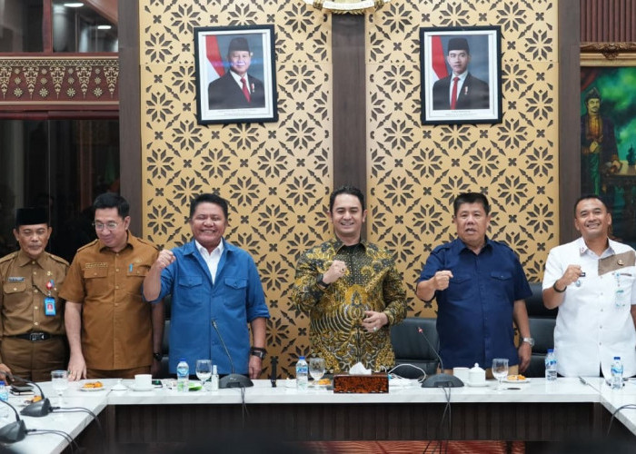 Satlinmas Segera Punya Organisasi Nasional, Herman Deru Usulkan Deklarasi di Sumsel.