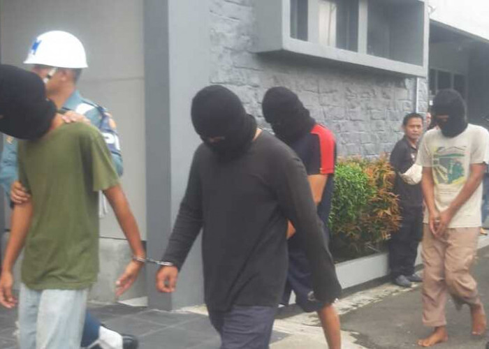 Sinergi dengan TNI AL, KKP Berhasil Amankan Puluhan Ribu Benih Lobster dari Jaringan Penyelundupan