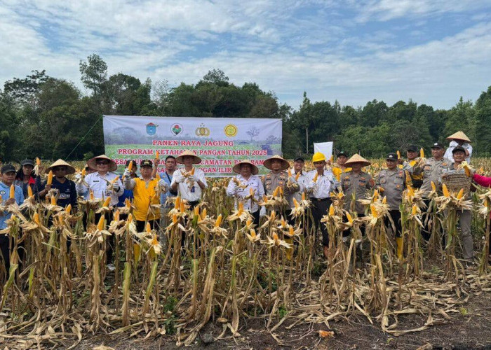 Dukung Program Prabowo Gibran, Polsek Tanjung Batu Bersama Warga Panen Jagung  Perdana