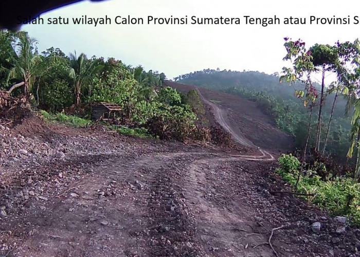 Provinsi Sumatera Tengah: Antara Mimpi dan Realitas