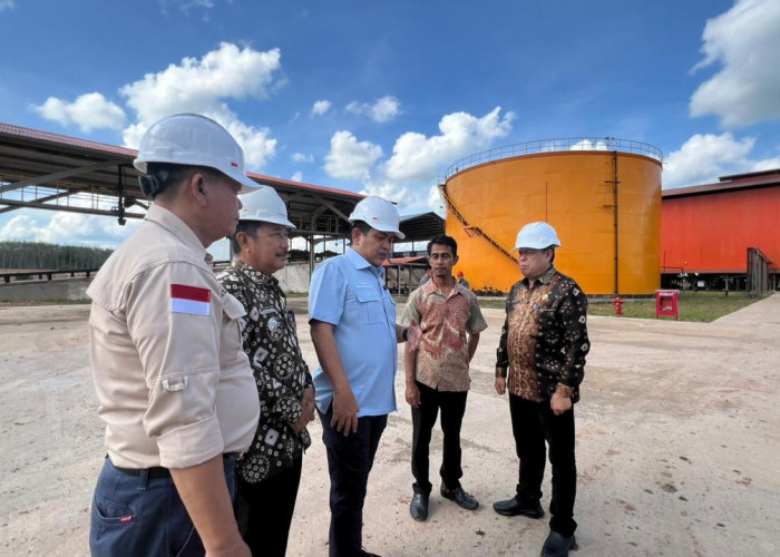 Inovasi Hilirisasi Sawit Berbasis Koperasi Jadi Sorotan Nasional