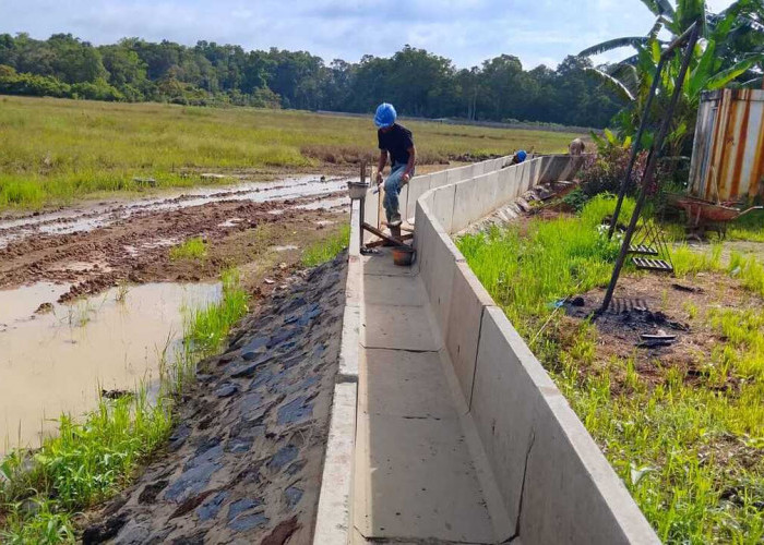 Bangun Irigasi, Perkuat Ketahanan Pangan Nasional dan Daerah