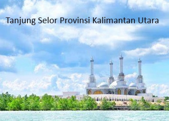 Tanjung Selor Kota Menjanjikan di Utara Kalimantan: Potret Sebuah Kecamatan yang Berkembang